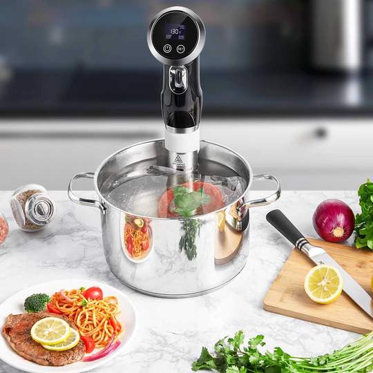 Platinum Precision Sous Vide Cooker